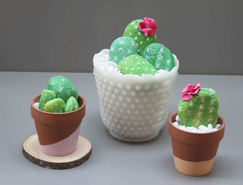 DIY rock cactus garden craft project tutorial