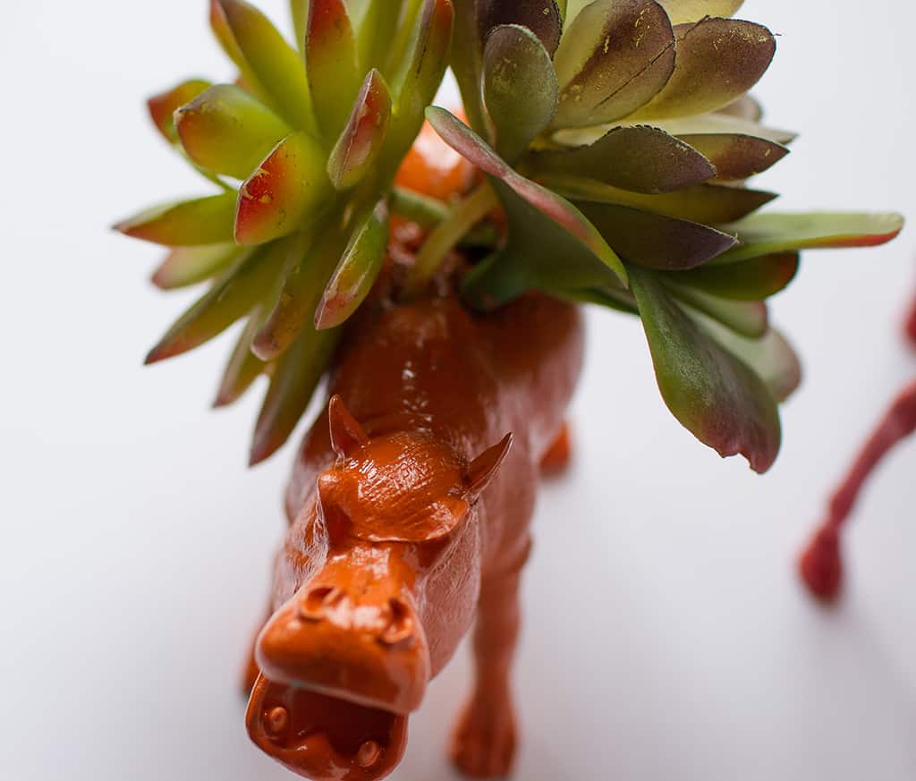 HOW TO MAKE DIY TOY ANIMAL PLANTERS, Oh So Lovely Blog