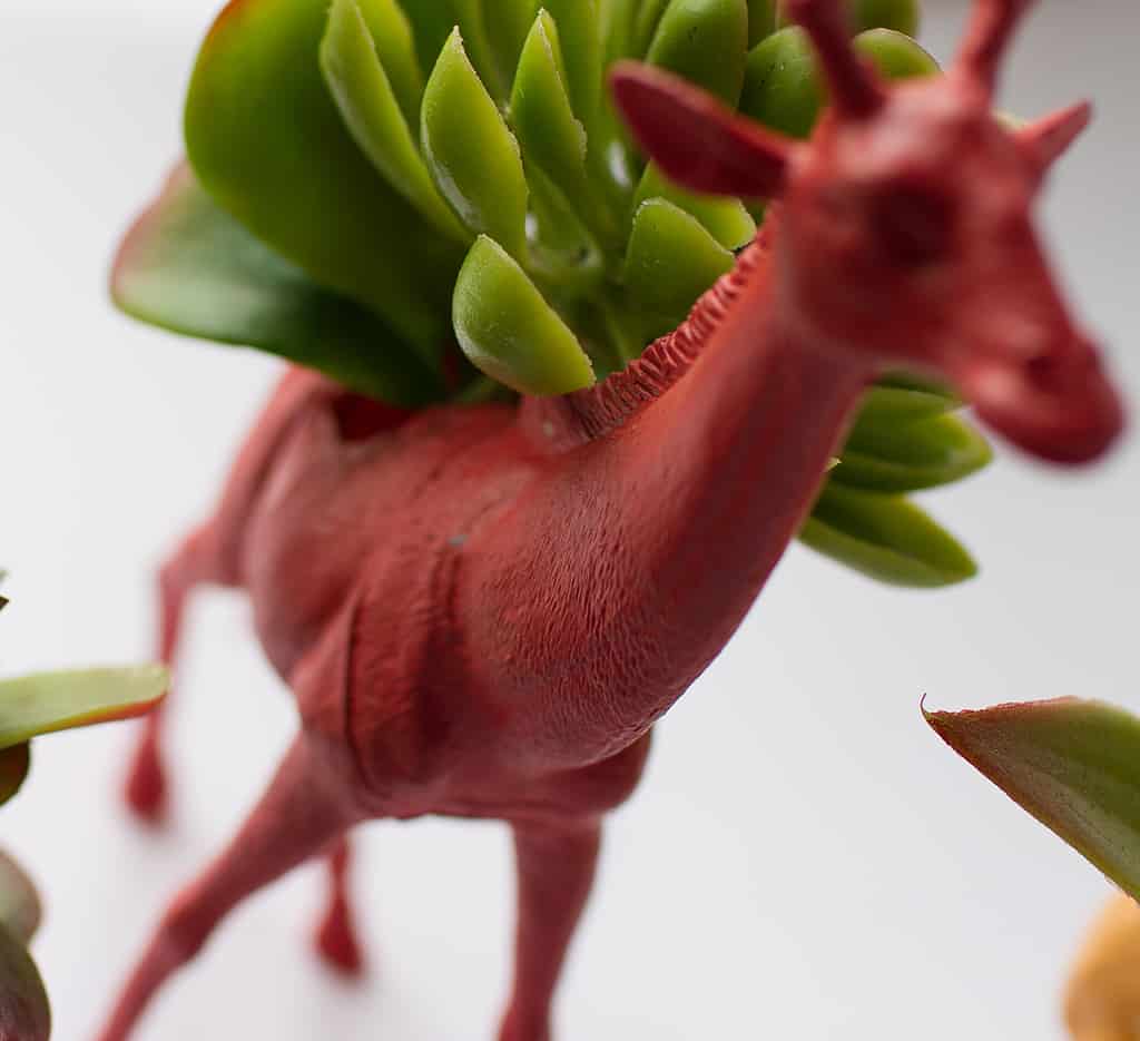 HOW TO MAKE DIY TOY ANIMAL PLANTERS, Oh So Lovely Blog