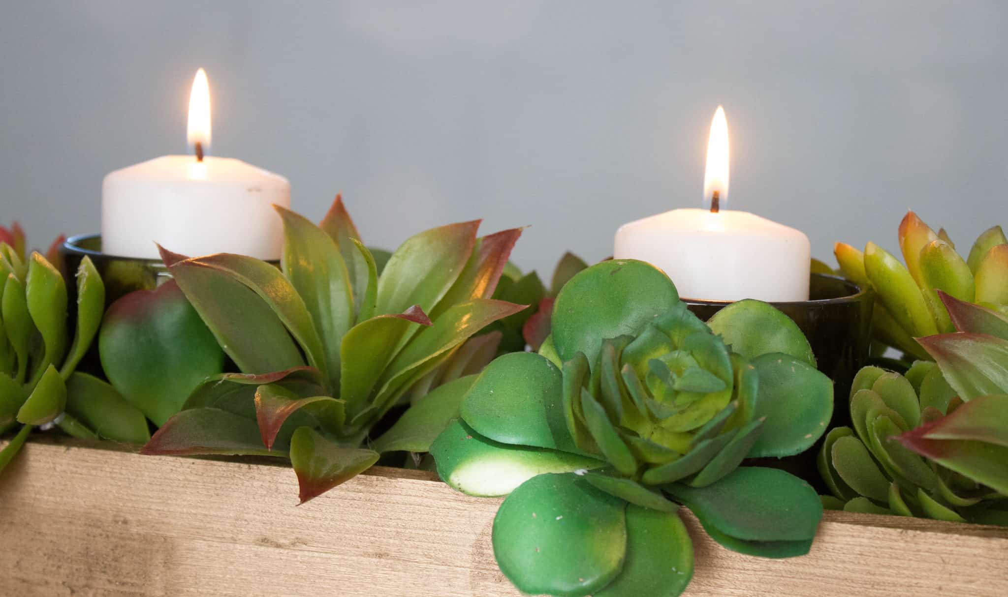 Affordable and easy DIY succulent centerpiece tutorial