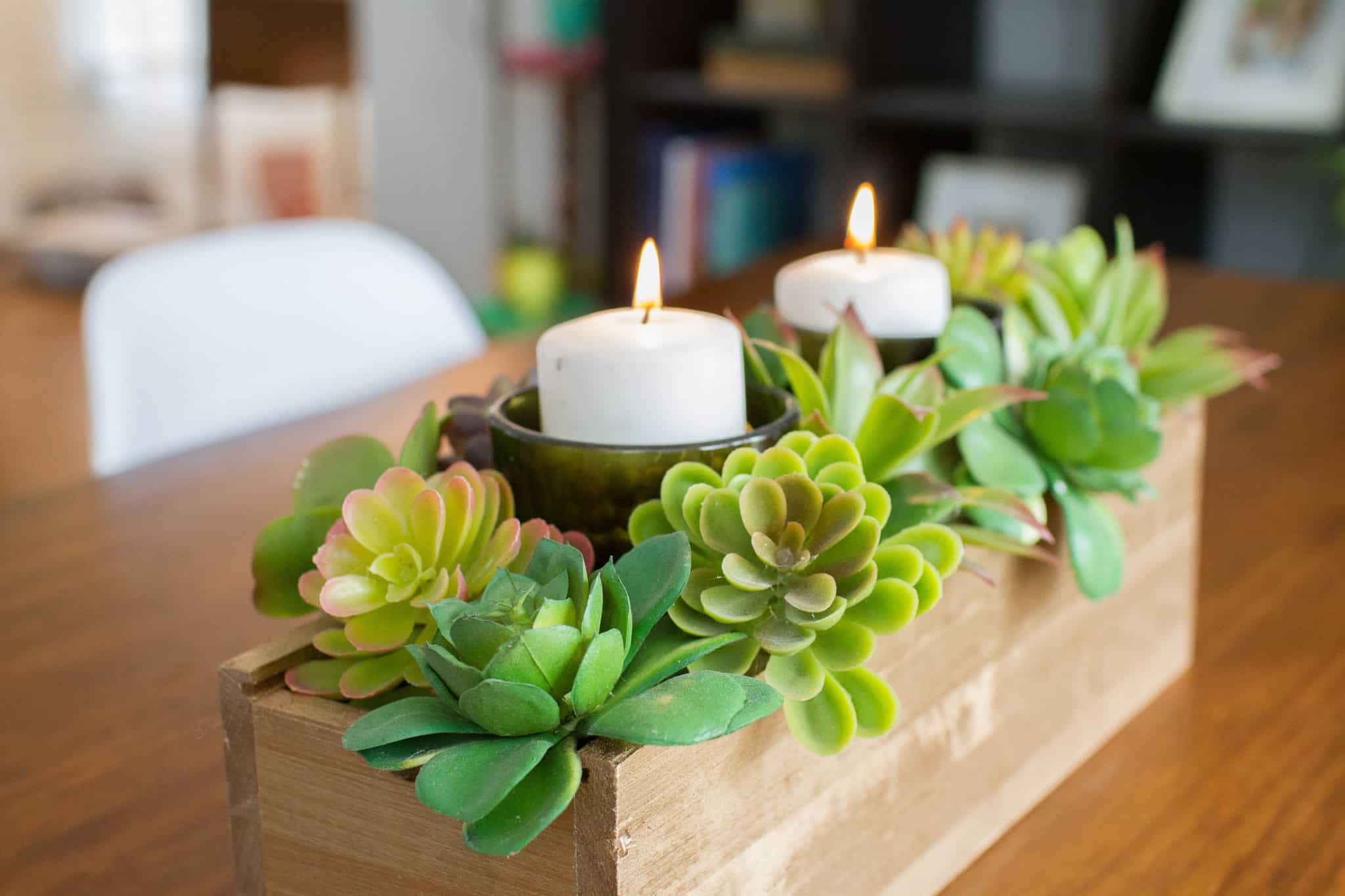 Affordable and easy DIY succulent centerpiece tutorial