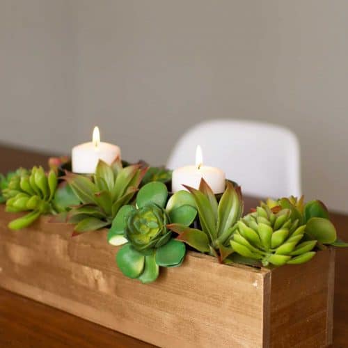 DIY succulent centerpiece tutorial