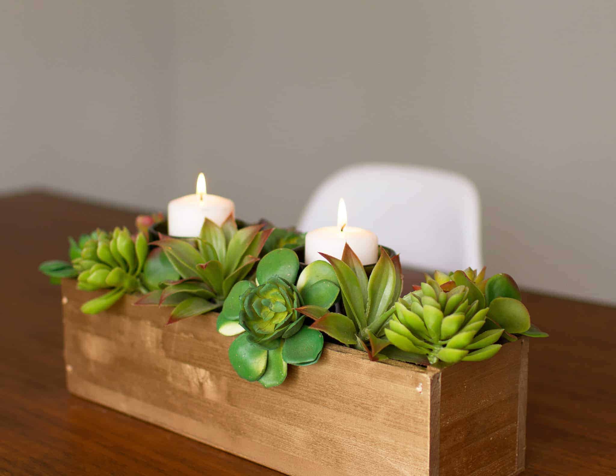 DIY succulent centerpiece tutorial