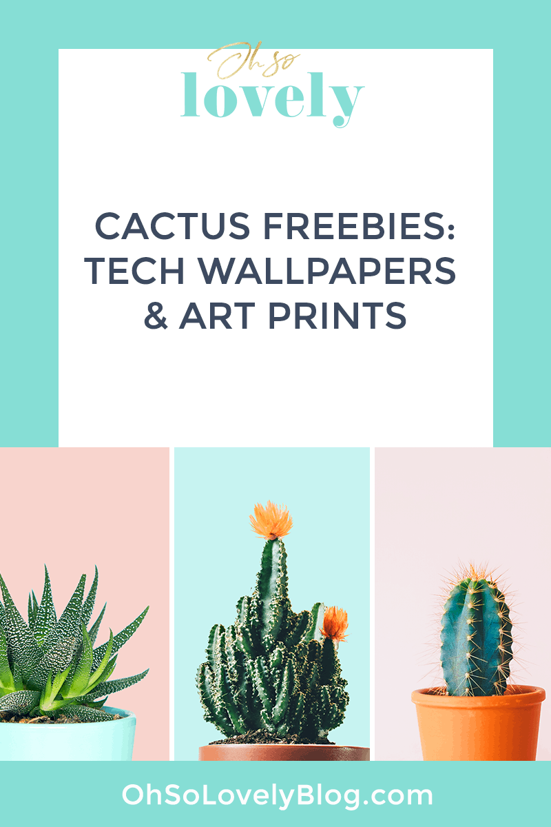 FREE cactus prints and tech wallpapers - three designs to choose from!