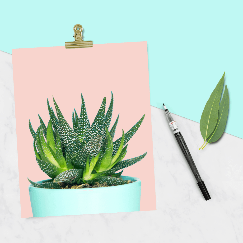 FREE cactus prints and tech wallpapers - three designs to choose from!