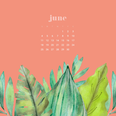 FREE June desktop wallpapers calendars - 3 colors to choose from!