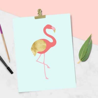 golden wing flamingo freebies