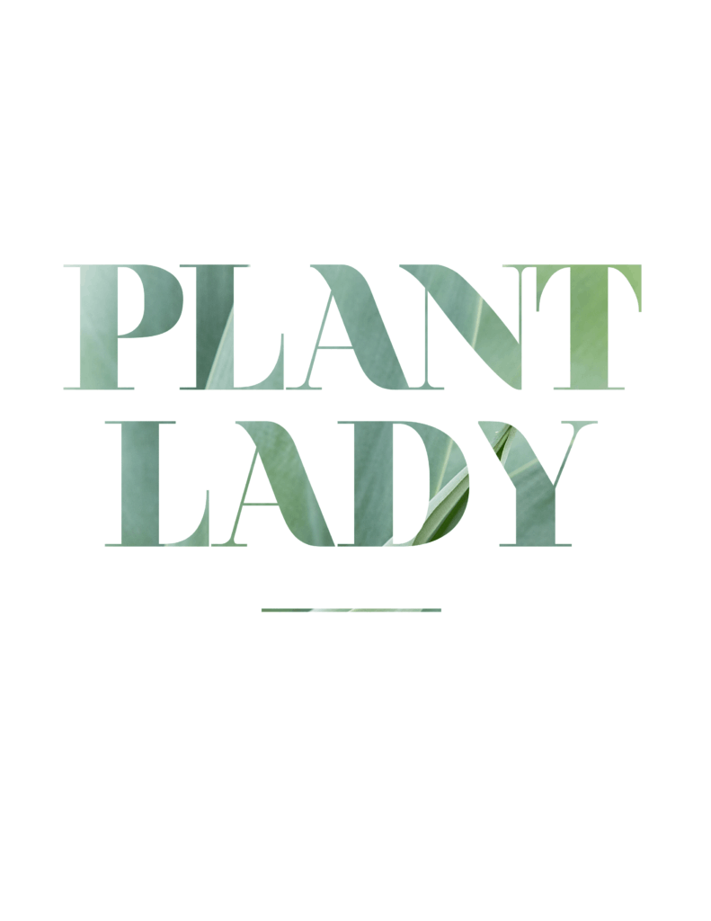 Oh So Lovely Blog shares two FREE plant lady printables for all you green thumbs out there! Download and print yours today!