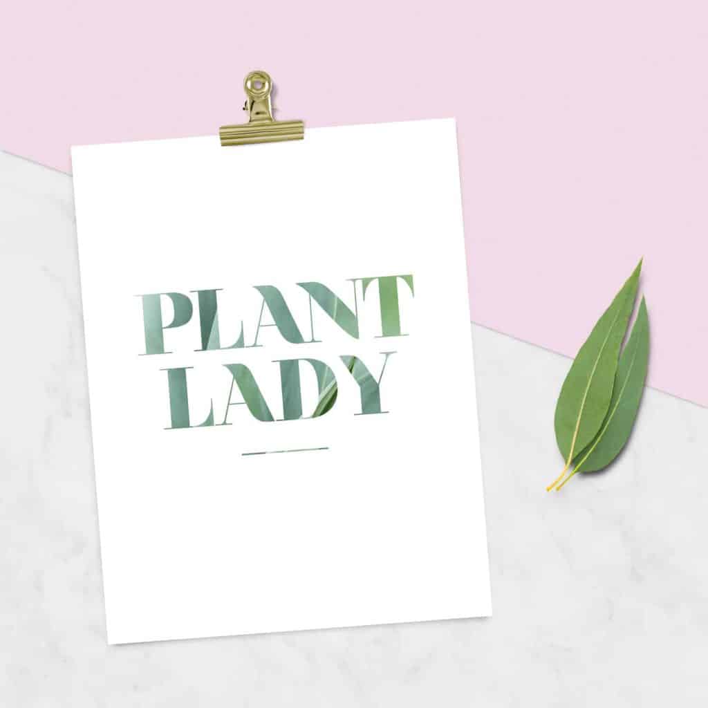 Oh So Lovely Blog shares two FREE plant lady printables for all you green thumbs out there! Download and print yours today!