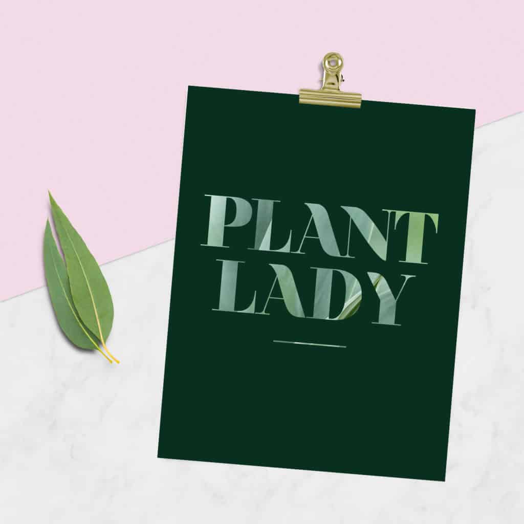 Oh So Lovely Blog shares two FREE plant lady printables for all you green thumbs out there! Download and print yours today!