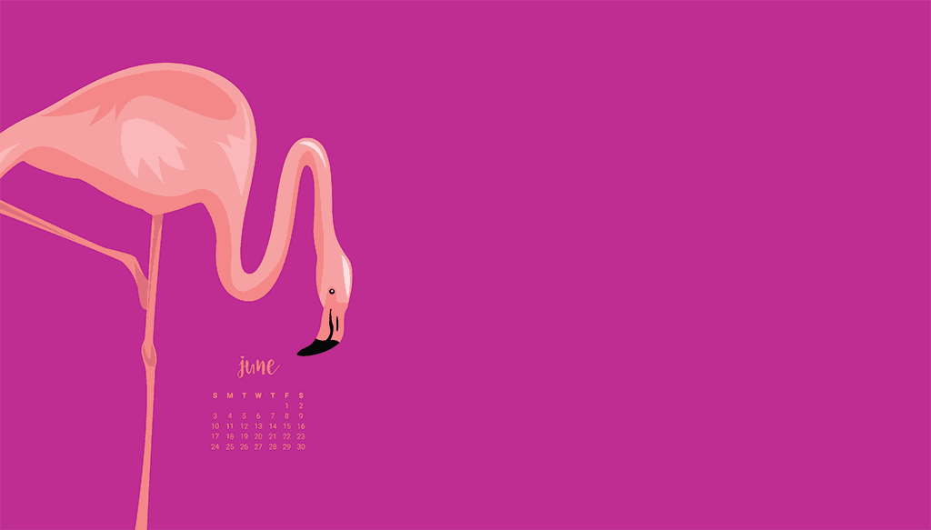 FREEBIES // JUNE DESKTOP CALENDAR WALLPAPERS, Oh So Lovely Blog