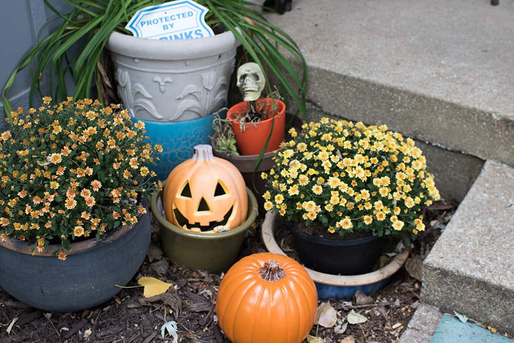 outdoor Halloween home tour