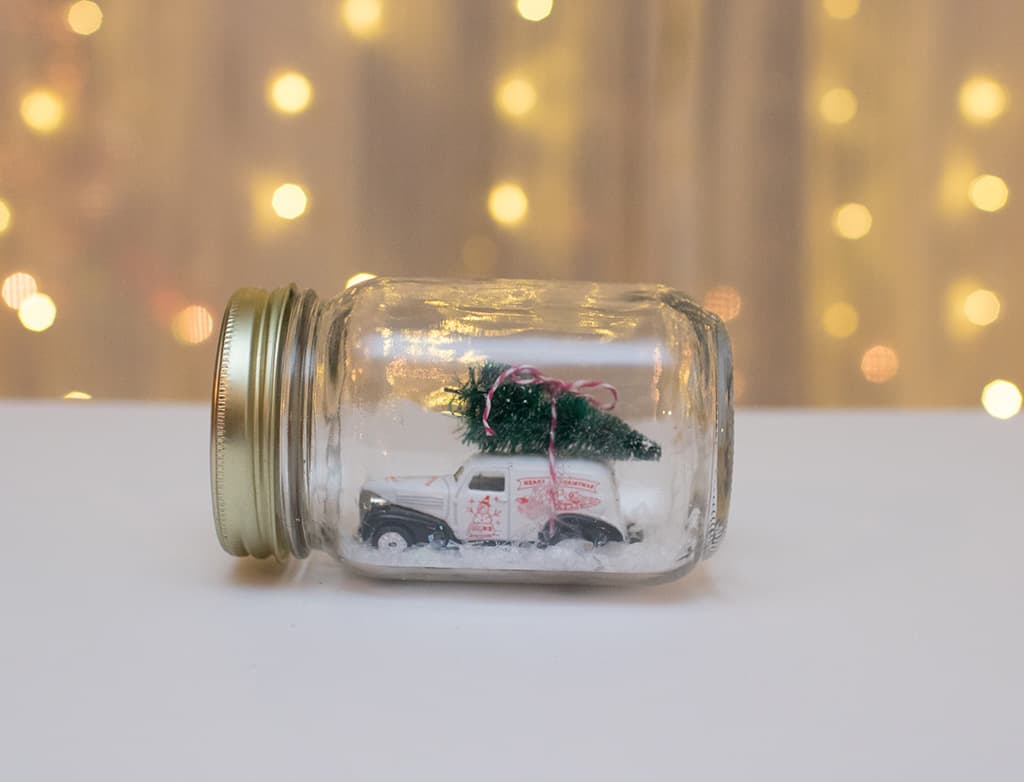 DIY holiday terrarium