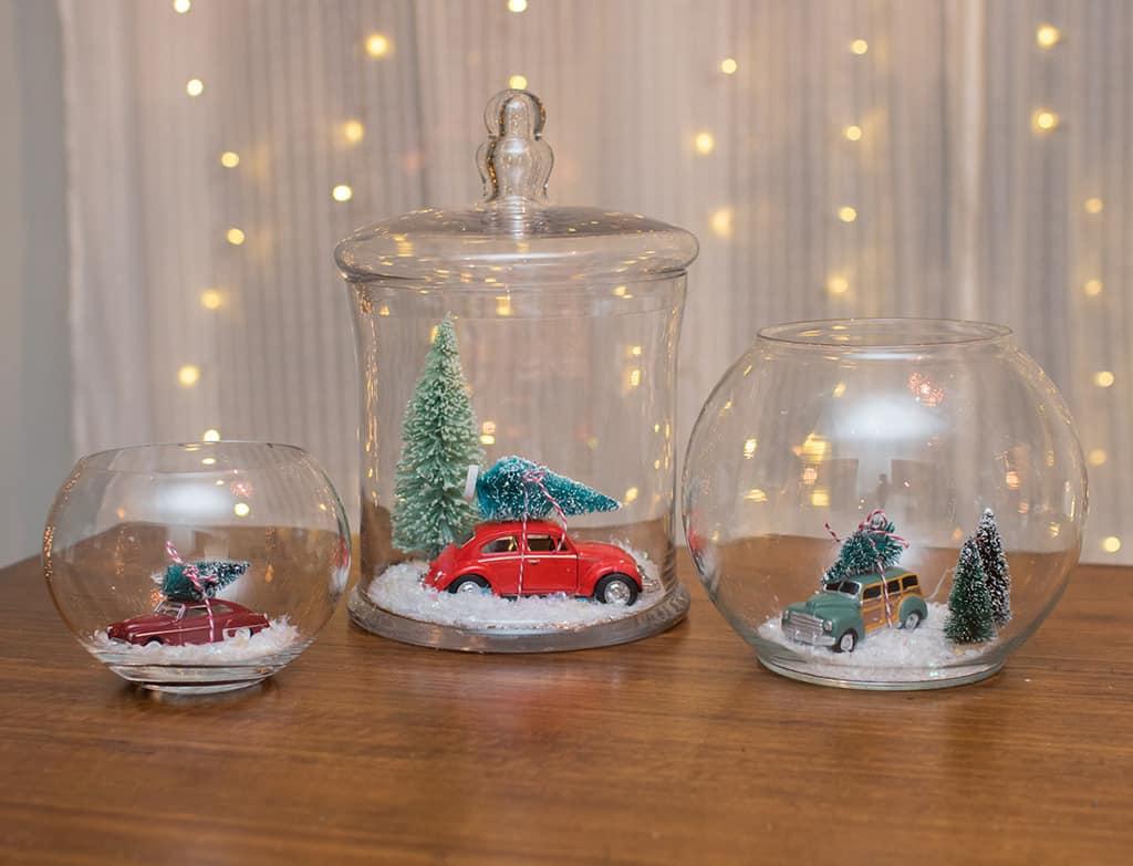 DIY holiday terrarium