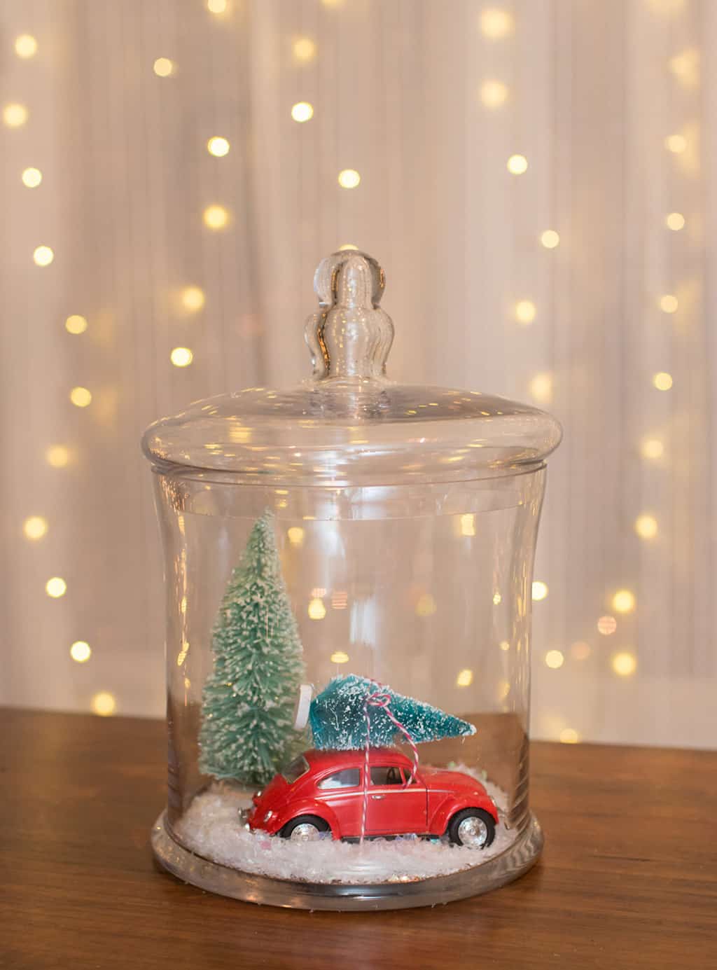 DIY holiday terrarium