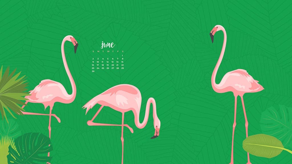 Audrey Kuether of Oh So Lovely blog shares 8 fun, summery, and free June desktop wallpaper calendars. Download yours today!