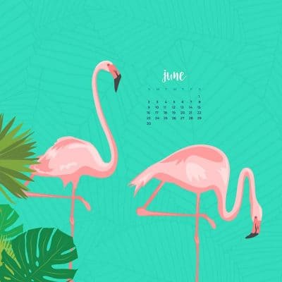 Audrey Kuether of Oh So Lovely blog shares 8 fun, summery, and free June desktop wallpaper calendars. Download yours today!