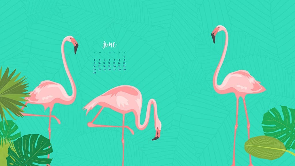 Audrey Kuether of Oh So Lovely blog shares 8 fun, summery, and free June desktop wallpaper calendars. Download yours today!