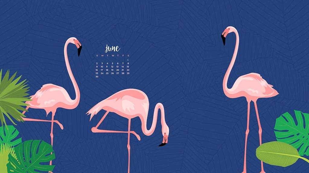 Audrey Kuether of Oh So Lovely blog shares 8 fun, summery, and free June desktop wallpaper calendars. Download yours today!