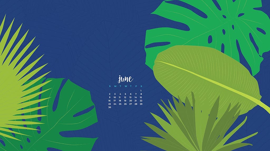 Audrey Kuether of Oh So Lovely blog shares 8 fun, summery, and free June desktop wallpaper calendars. Download yours today!