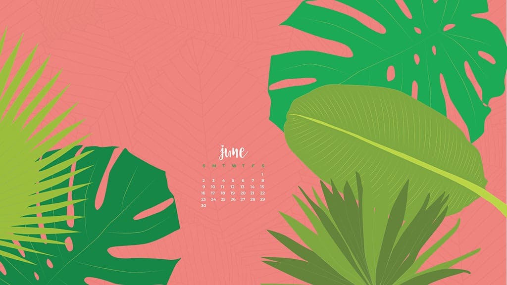 Audrey Kuether of Oh So Lovely blog shares 8 fun, summery, and free June desktop wallpaper calendars. Download yours today!