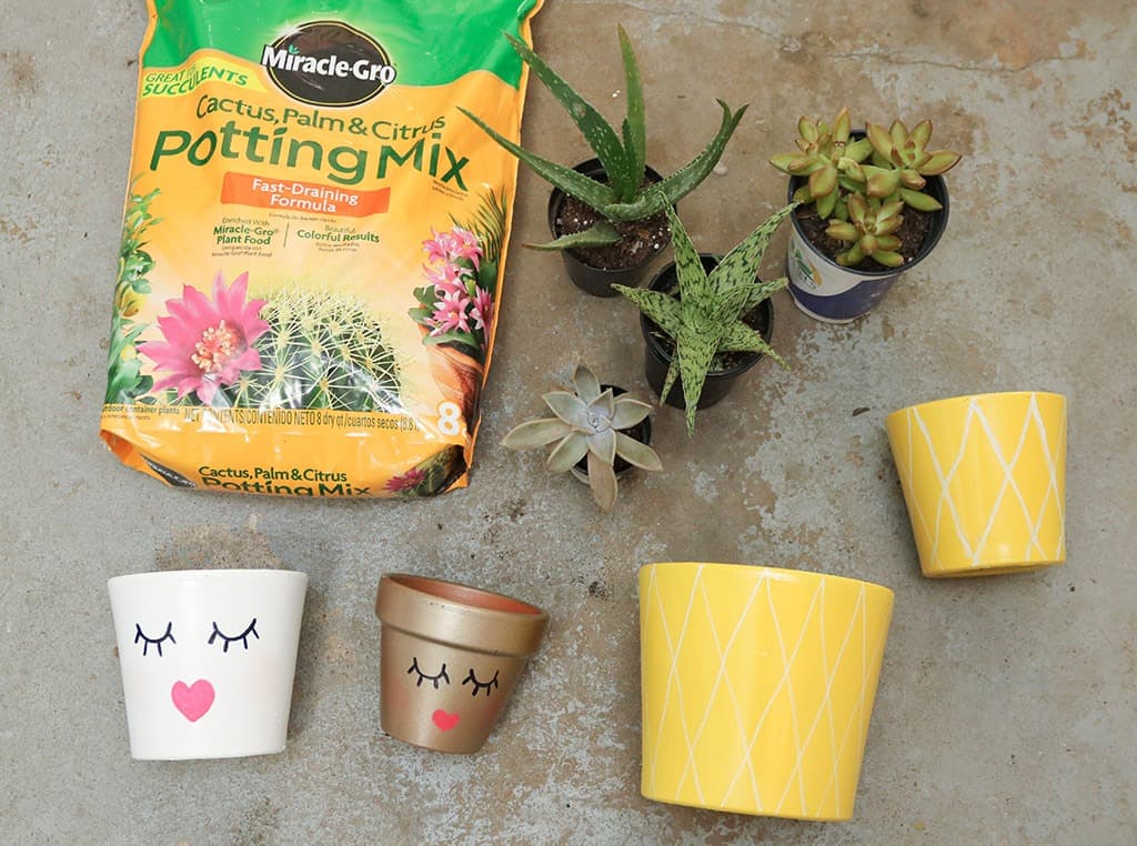 Audrey of Oh So Lovely Blog shows just how easy it is to make some affordable DIY summery planter pots perfect for your summer home decor, hostess gifts, you name it.