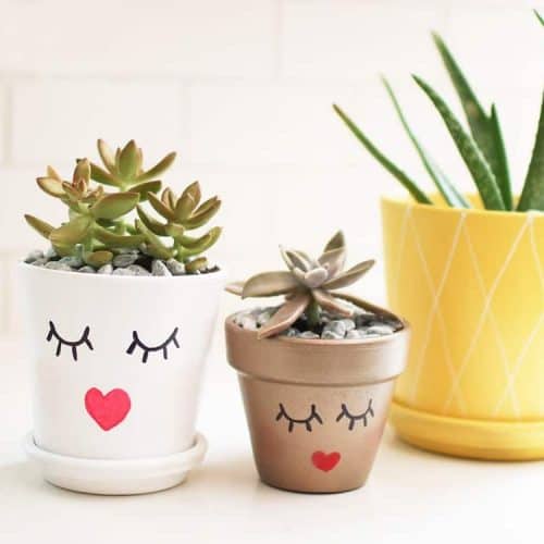 Audrey of Oh So Lovely Blog shows just how easy it is to make some affordable DIY summery planter pots perfect for your summer home decor, hostess gifts, you name it.