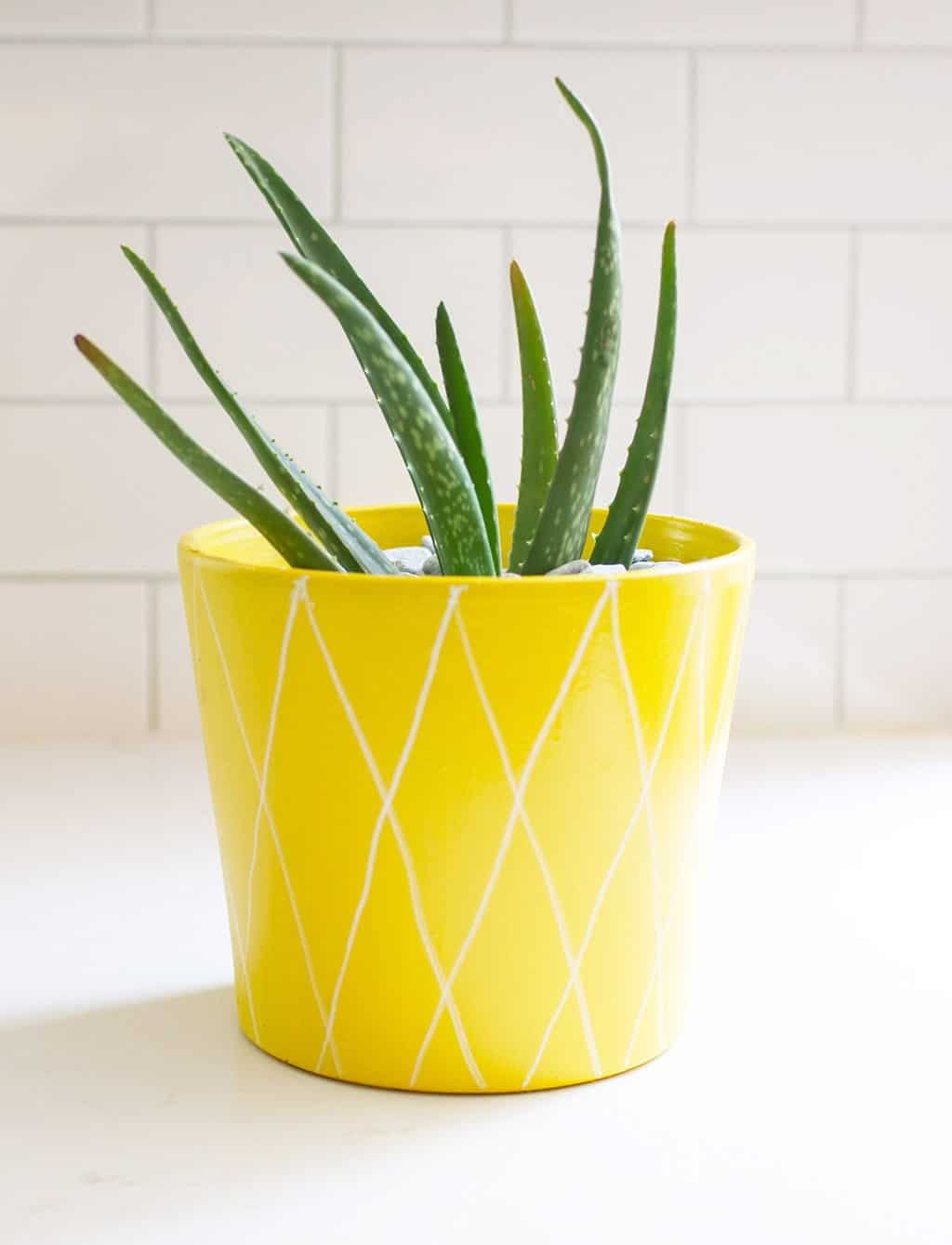 Audrey of Oh So Lovely Blog shows just how easy it is to make some affordable DIY summery planter pots perfect for your summer home decor, hostess gifts, you name it.