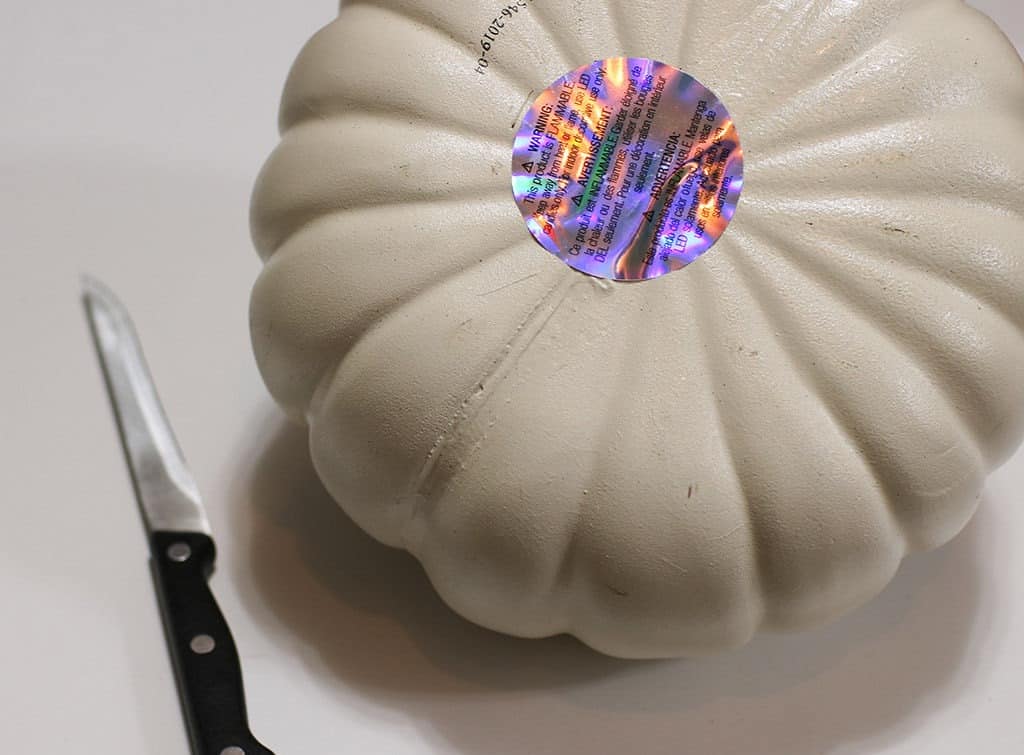 cut bottom of pumpkin