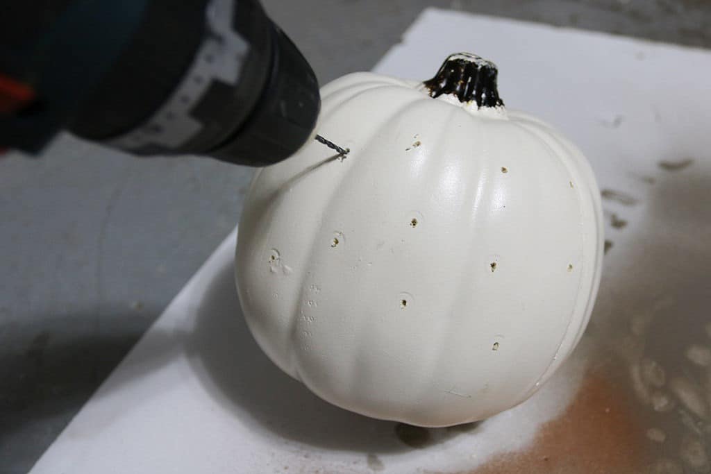 drill holes in pumpkin with drill and bit