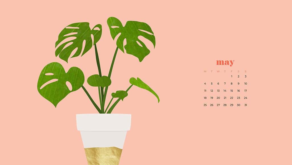 9 FREE MAY DESKTOP AND SMART PHONE WALLPAPERS, Oh So Lovely Blog