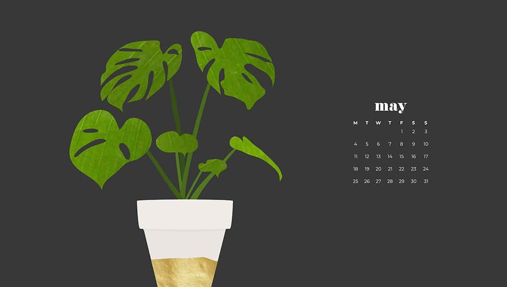 9 FREE MAY DESKTOP AND SMART PHONE WALLPAPERS, Oh So Lovely Blog