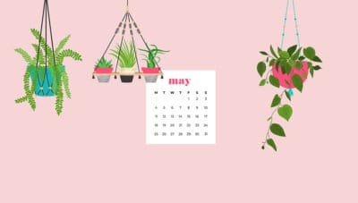 free May wallpapers - hanging plants for desktop