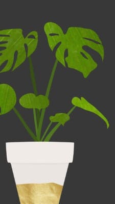 Free May wallpapers for desktops and smart phones - 9 to choose from!