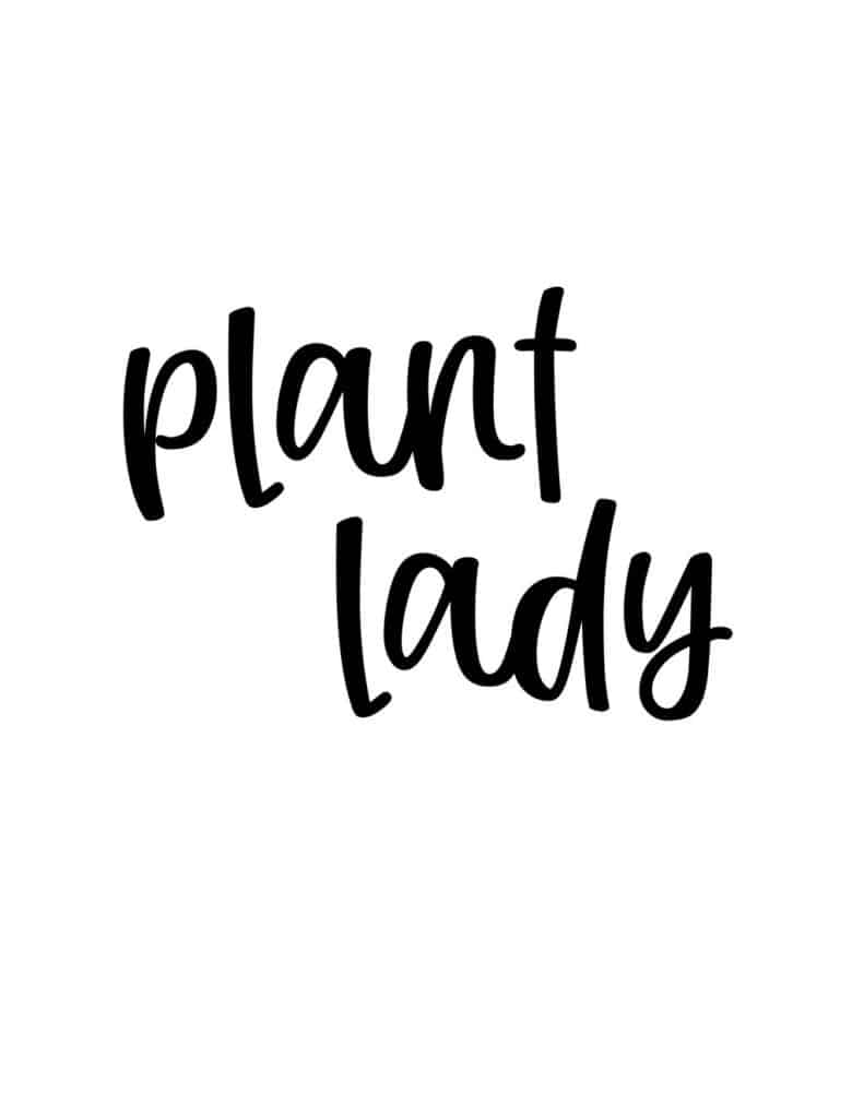 8 FUN &#038; FREE PLANT ART PRINTABLES, Oh So Lovely Blog