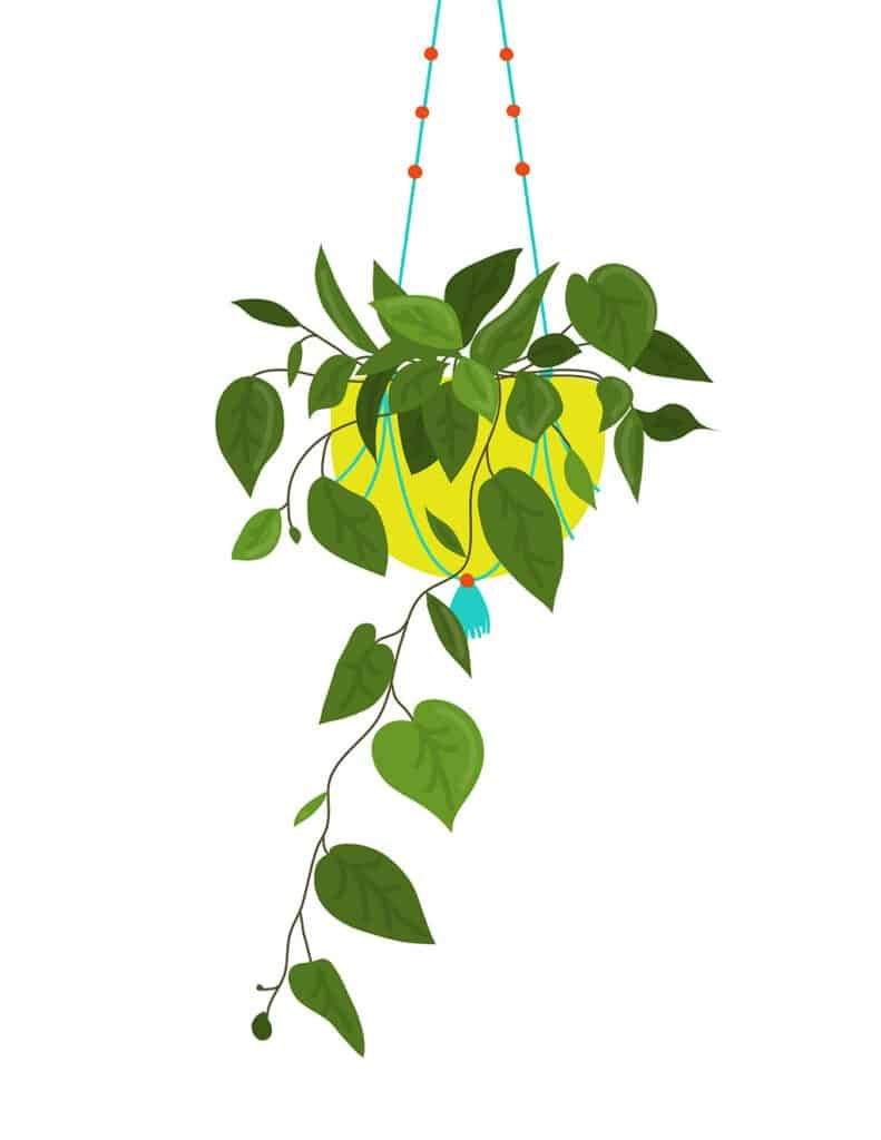 8 FUN &#038; FREE PLANT ART PRINTABLES, Oh So Lovely Blog