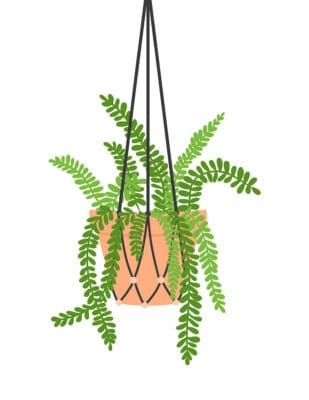 FREE plant art printable modern hanging