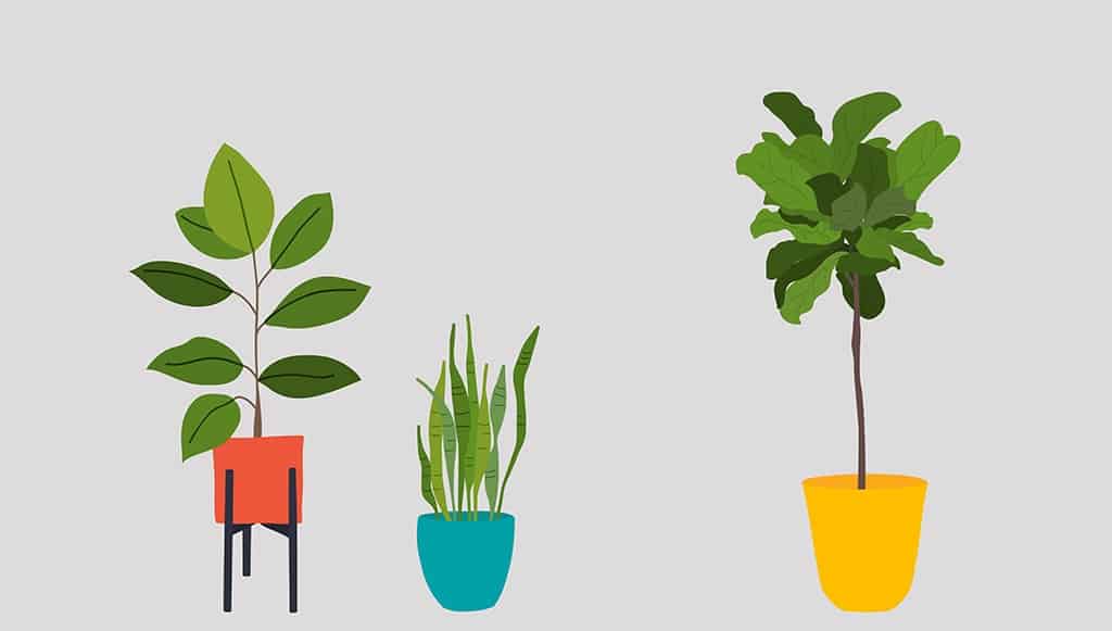 Free June wallpapers — modern plants