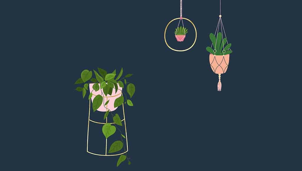 Free June wallpapers — modern plants