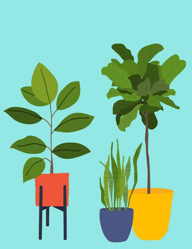 free modern plant printables aqua