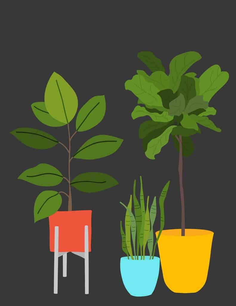 free modern plant printables black