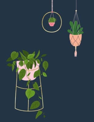 Free modern plant printables — 8 colorful and fun options to choose from!
