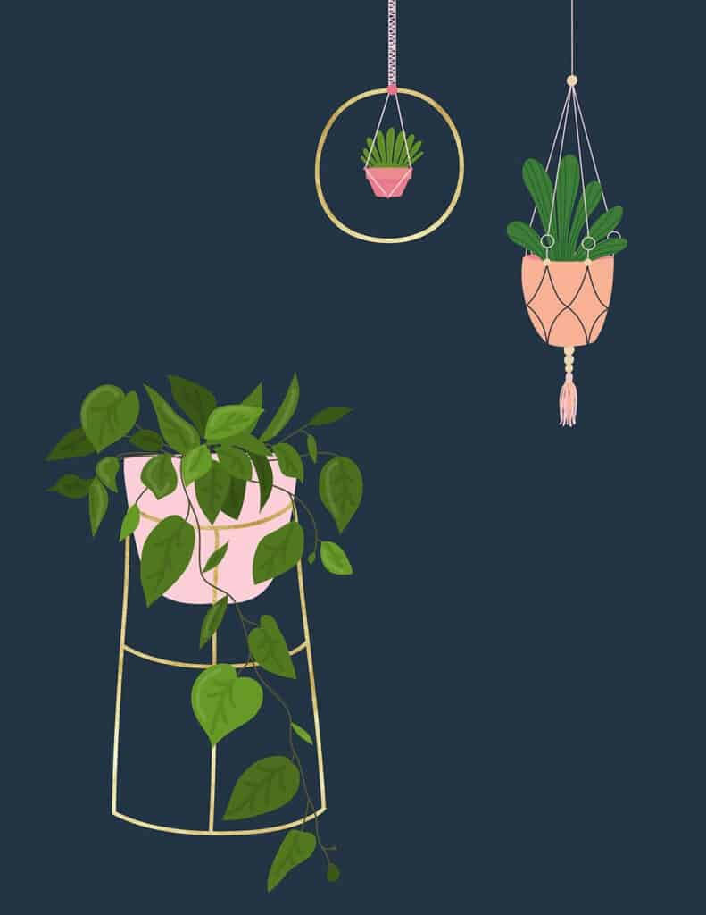 free modern plant printables navy