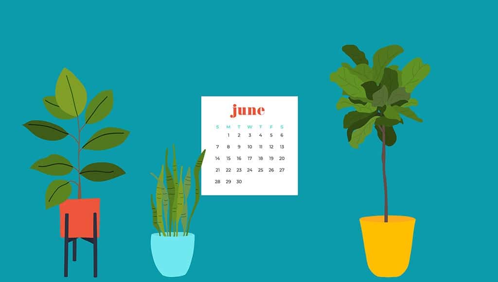 Free June wallpapers — modern plants