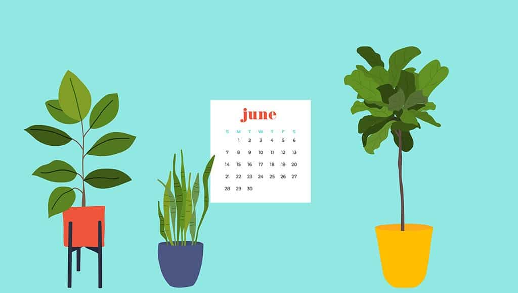 Free June wallpapers — 9 designs in Sunday & Monday starts Free June wallpapers — 9 designs in Sunday & Monday starts