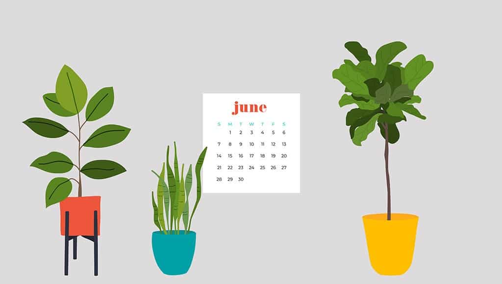 Free June wallpapers — modern plants