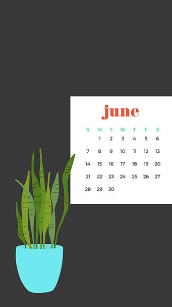 9 FREE JUNE 2020 WALLPAPERS, Oh So Lovely Blog