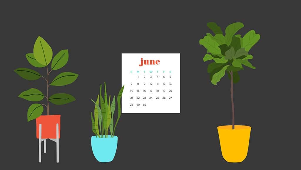 Free June wallpapers — modern plants