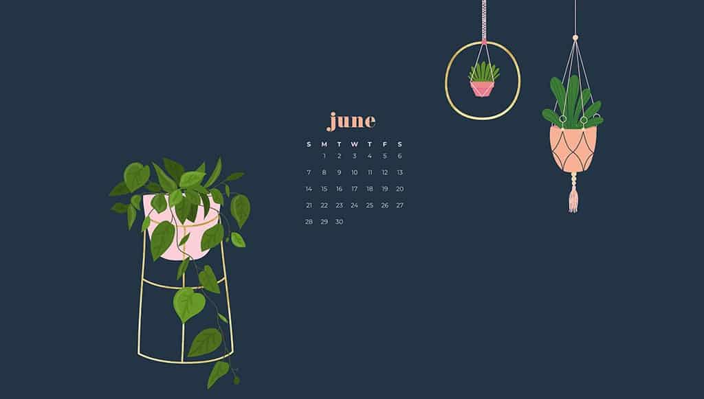 Free June wallpapers — modern plants