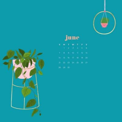 Free June wallpapers - modern hangin plants and plant stand